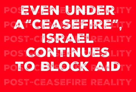 Ceasefire Now Coalition 